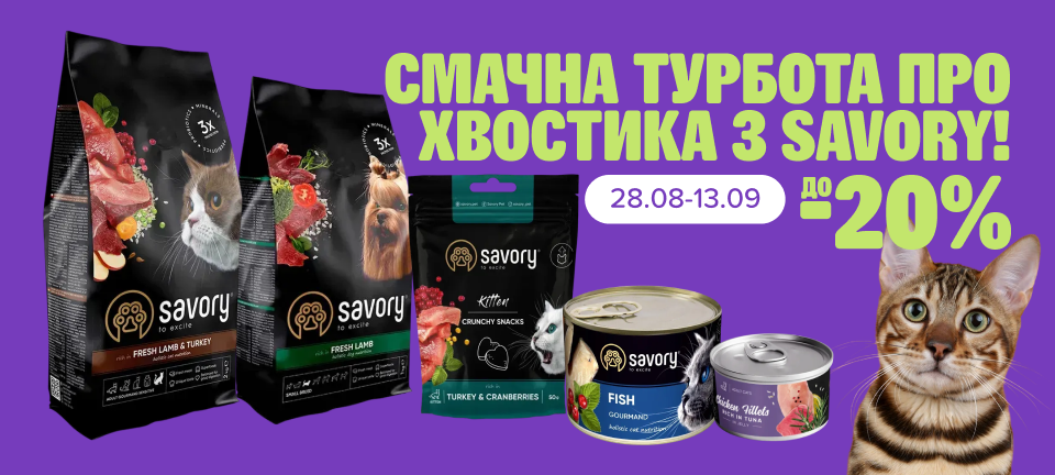 1. Десктоп Сейвори платный