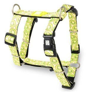 Max and Molly H-Harness Ківі шлея для собак 43-51 см - різнокольоровий - masterzoo.ua