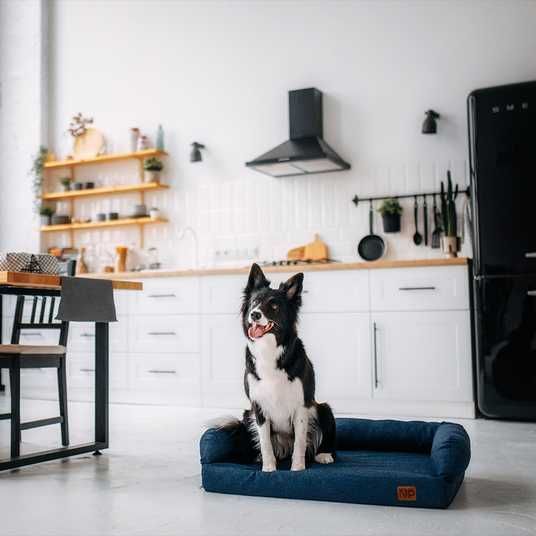 ≡ Noble Pet London лежак для собак 80x60 см - синий • Noble Pet
