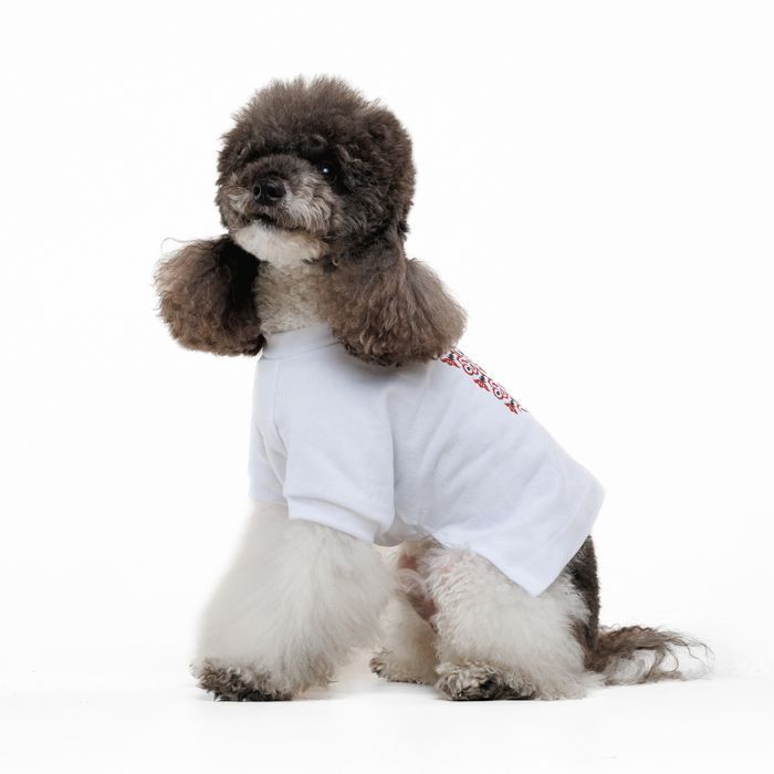 Футболка для собак Pet Fashion Ukraine XS - белый - masterzoo.ua
