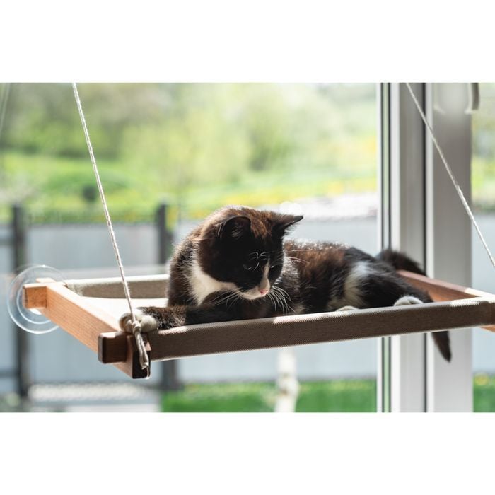 Гамак на окно для кошек PetJoy 54x35x3,5 см - коричнево-бежевый - masterzoo.ua