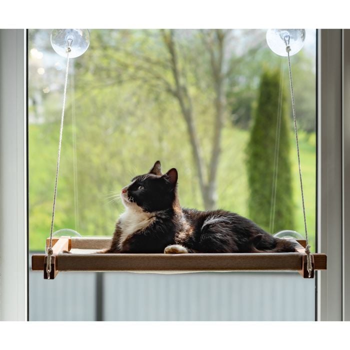 Гамак на окно для кошек PetJoy 54x35x3,5 см - коричнево-бежевый - masterzoo.ua