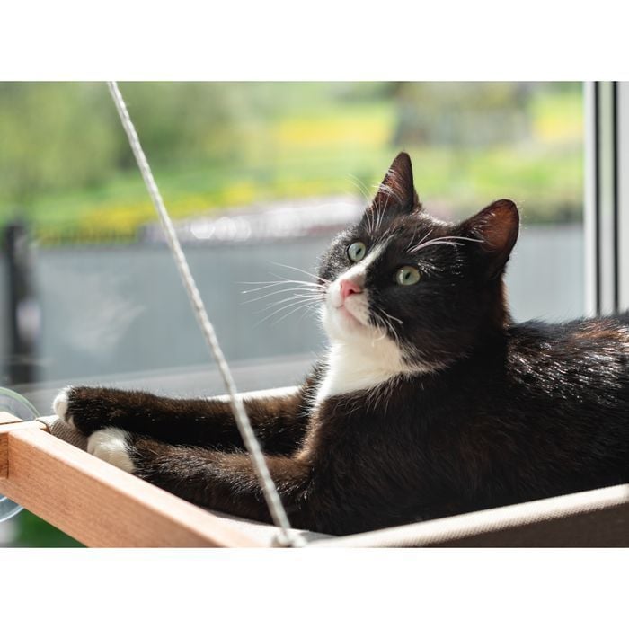 Гамак на окно для кошек PetJoy 54x35x3,5 см - коричнево-бежевый - masterzoo.ua