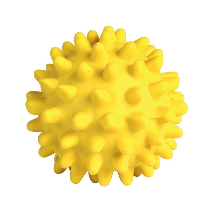 Іграшка для собак Trixie М'яч голчастий з пискавкою d=6 см (латекс, кольори в асортименті) - masterzoo.ua