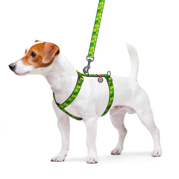 Шлея для собак COLLAR WOUDOG Н-образная S - зеленый - masterzoo.ua