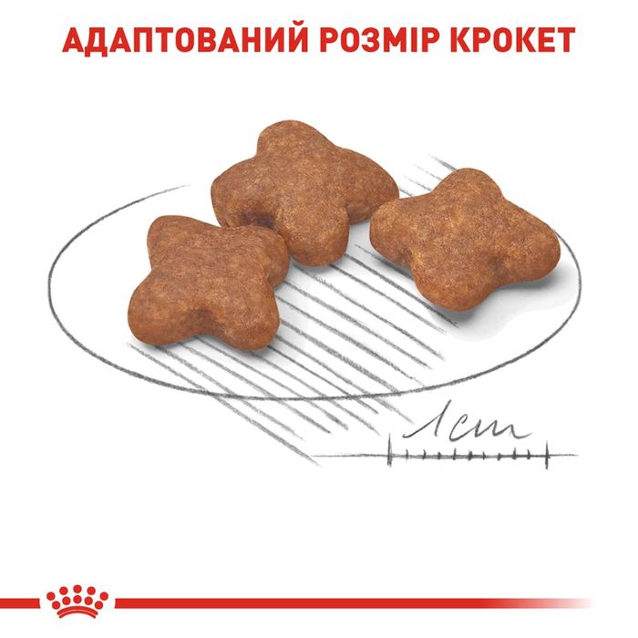 Сухий корм для літніх собак дрібних порід Royal Canin Mini Adult 8+, 2 кг - домашня птиця - masterzoo.ua