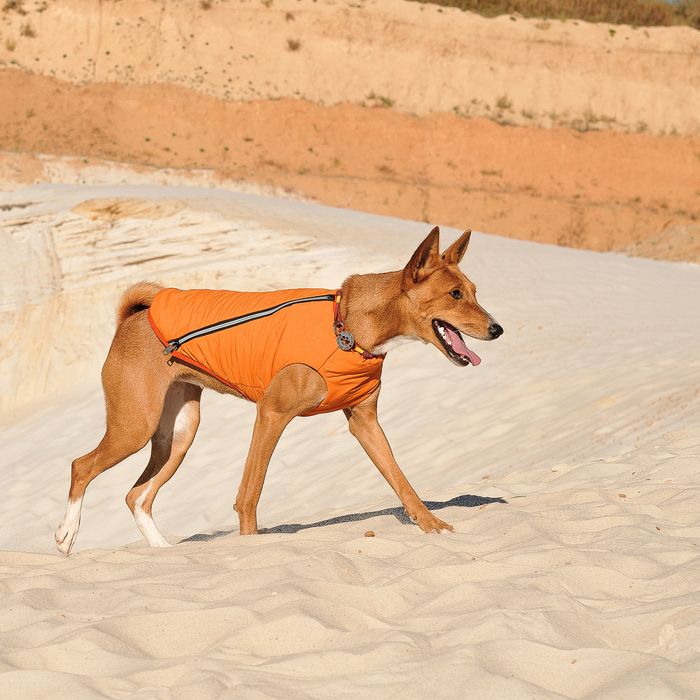 Жилетка для собак Pet Fashion E.Vest XL (оранжевый) - masterzoo.ua
