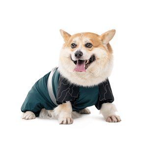 Комбинезон для собак Pet Fashion Den S такса - masterzoo.ua