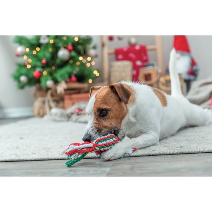 Іграшка для собак Trixie Різдвяний Канат-льодяник 24 см - masterzoo.ua