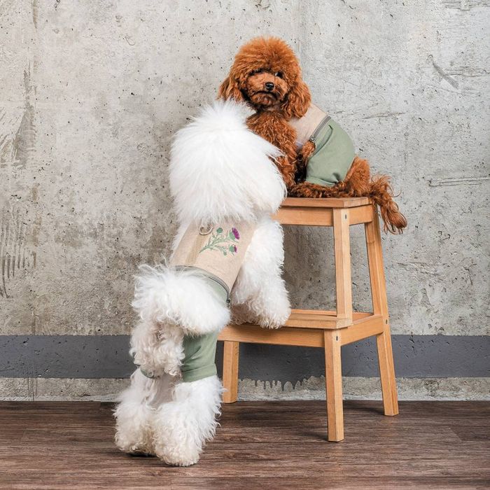 Шлея-костюм для собак Pet Fashion Patrik S - masterzoo.ua