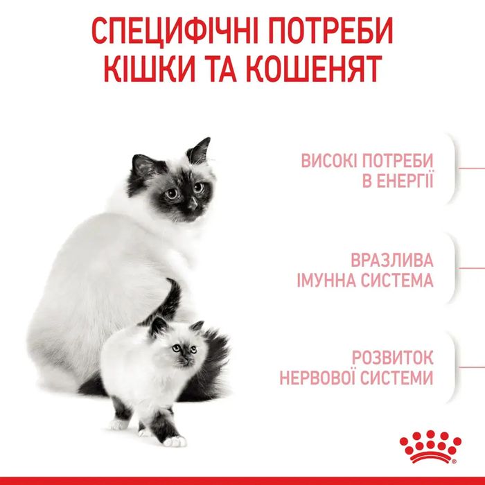 Сухой корм для котят Royal Canin Mother & Babycat 2 кг + контейнер в подарок (домашняя птица) - masterzoo.ua