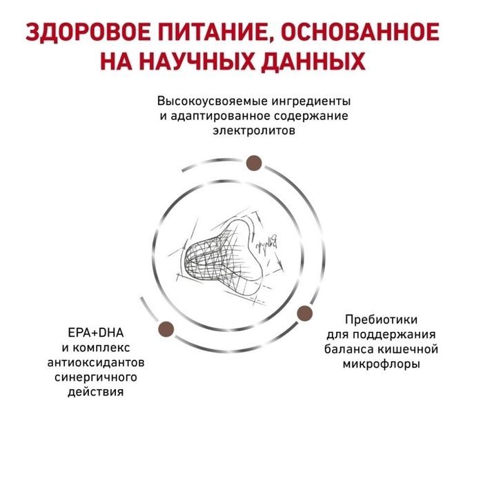 Сухой корм для кошек, при заболеваниях желудочно-кишечного тракта Royal Canin Fibre Response 4 кг - домашняя птица - masterzoo.ua