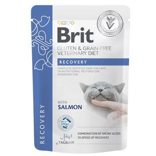 Влажный корм для котов Brit GF VetDiet Recovery pouch 85 г - лосось - masterzoo.ua