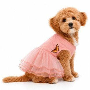 Платье для собак Pet Fun Sally Peach XXS - персиковый - masterzoo.ua