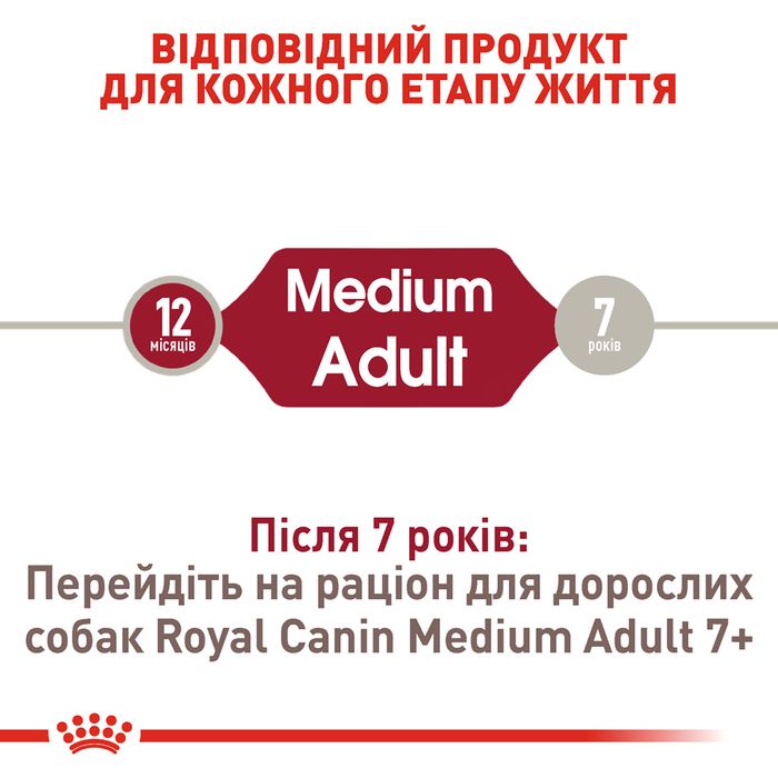 Сухий корм для собак Royal Canin Medium Adult 15 кг - домашня птиця - masterzoo.ua