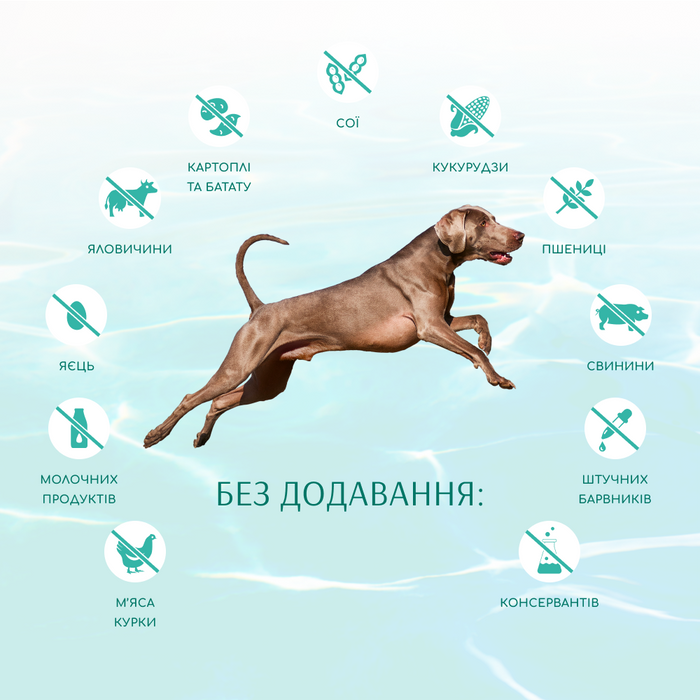 Cухой беззерновой корм для собак всех пород Optimeal Beauty Fitness Healthy Weight & Joints 4 кг (морепродукты) - masterzoo.ua