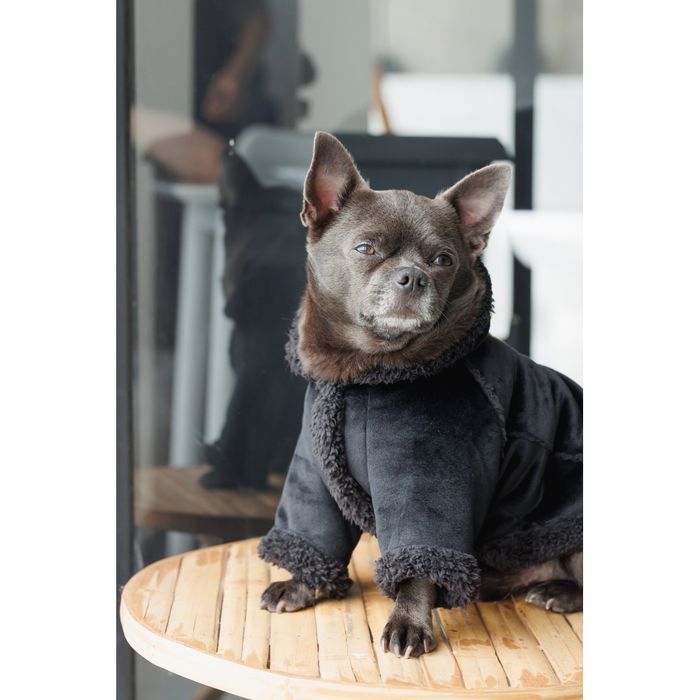 Дублянка для собак Pet Fashion Black S - masterzoo.ua