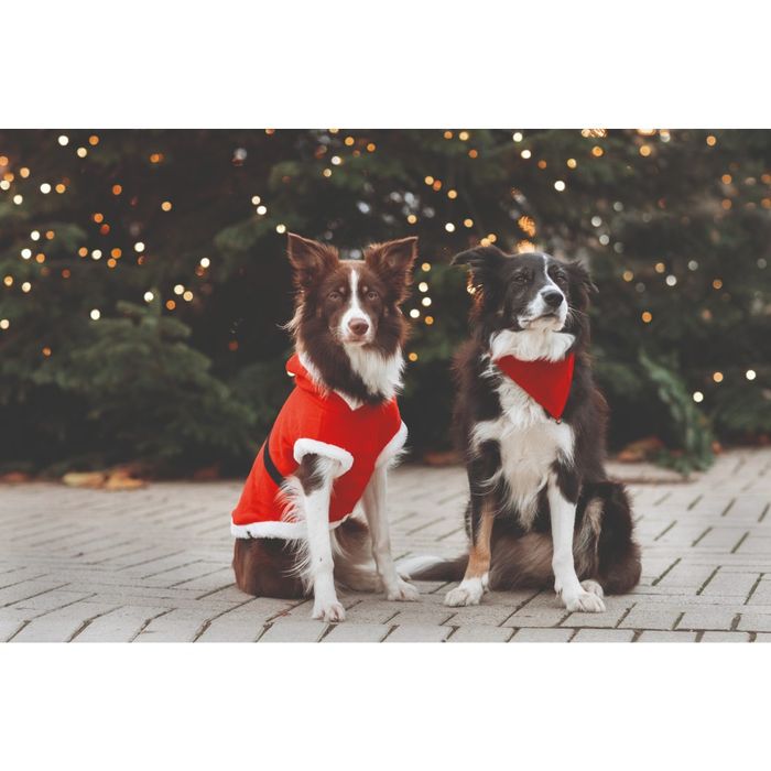 Рождественская попона для собак Trixie «Санта» S - masterzoo.ua