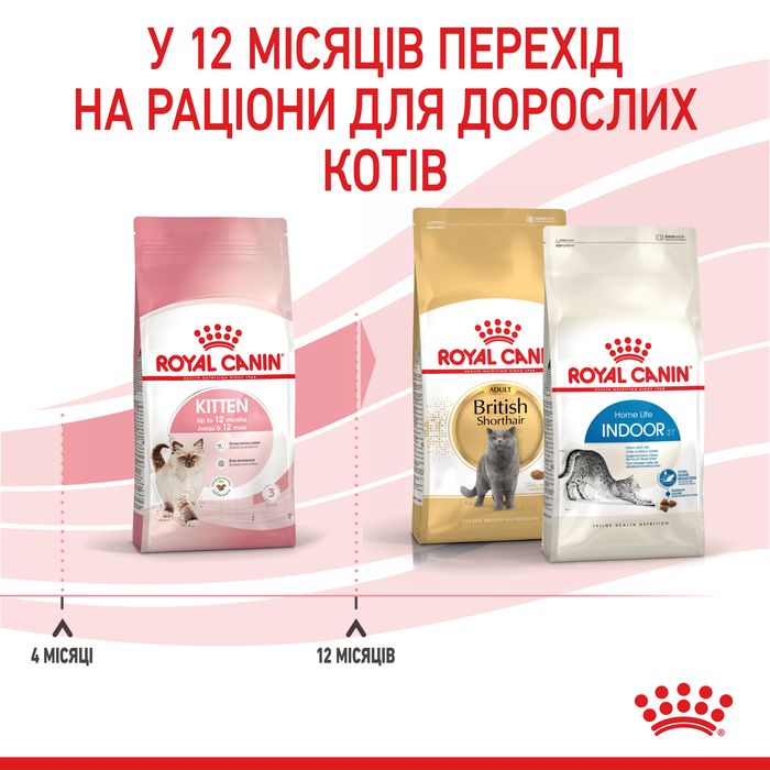 Сухий корм для кошенят Royal Canin Kitten 400 г (домашня птиця) - masterzoo.ua