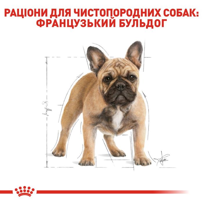 Сухой корм для взрослых собак породы французский бульдог Royal Canin French Bulldog Adult 3 кг - домашняя птица - masterzoo.ua