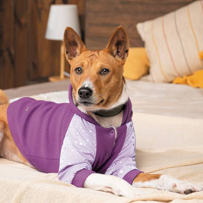 Толстовка для собак Pet Fashion «Lilac» M - masterzoo.ua