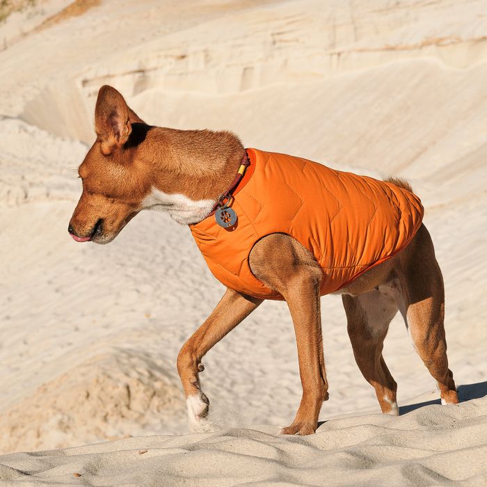 Жилетка для собак Pet Fashion E.Vest M-2 (оранжевый) - masterzoo.ua