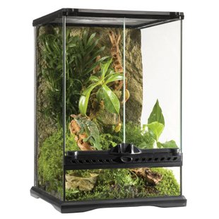 Террариум Exo Terra стеклянный «Natural Terrarium» 30 x 30 x 45 см - masterzoo.ua