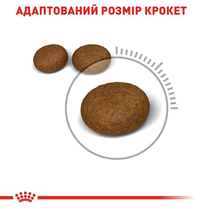 Сухой корм для кошек Royal Canin Hair & Skin 4 кг - masterzoo.ua