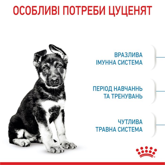 Сухий корм для цуценят Royal Canin Maxi Puppy 15 кг - домашня птиця - masterzoo.ua