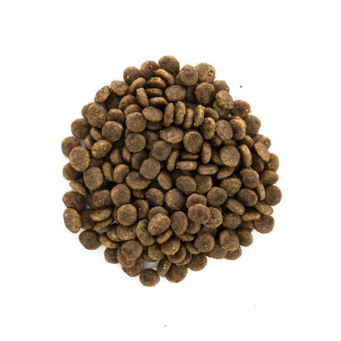 Сухий корм для котів Brit Care Cat Grain Free Sensitive Health Digestion & Delicate Taste 7 кг - індичка та лосось - masterzoo.ua