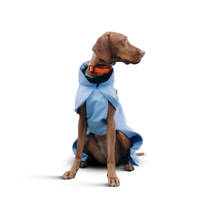 Noble Pet Rio дощовик для собак 3XL - masterzoo.ua
