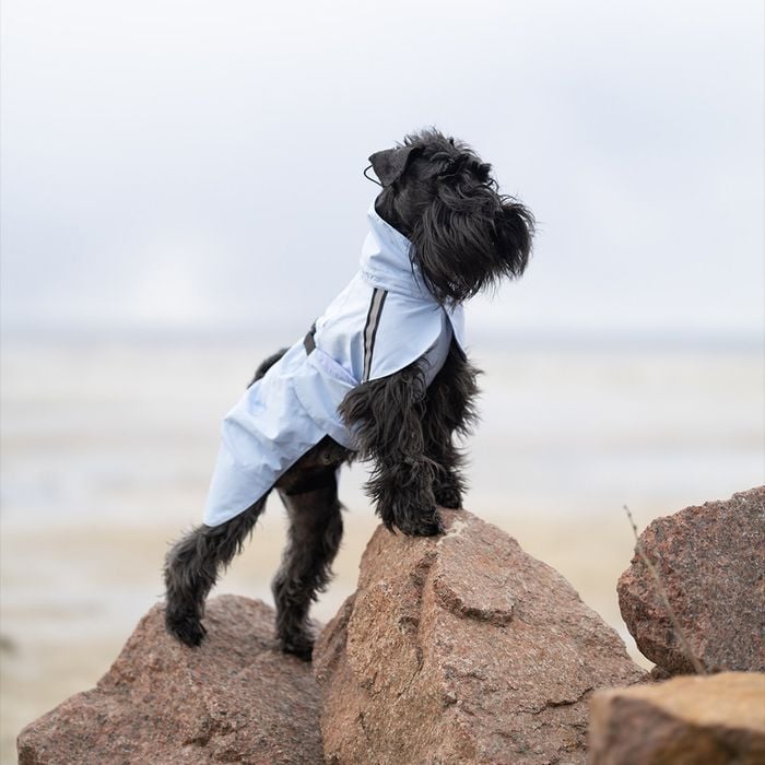 Noble Pet Rio дощовик для собак 3XL - masterzoo.ua
