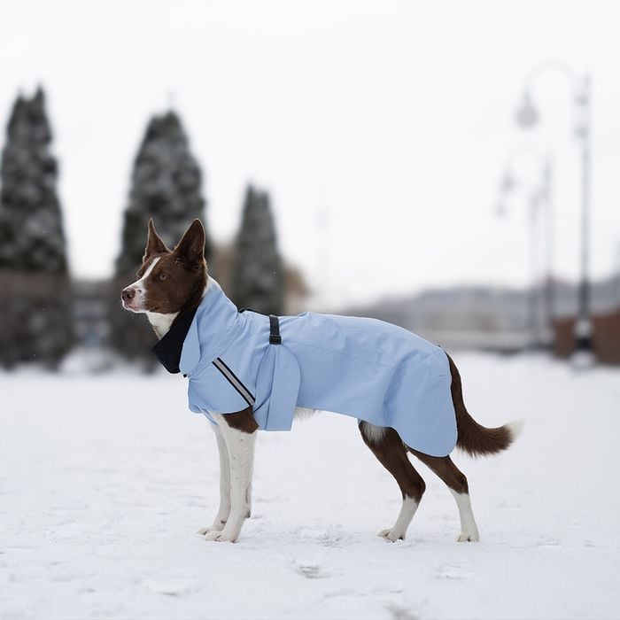 Noble Pet Rio дощовик для собак 3XL - masterzoo.ua