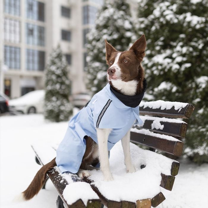 Noble Pet Rio дощовик для собак 3XL - masterzoo.ua