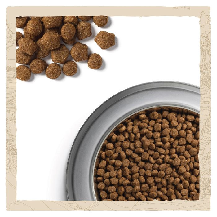 Сухий корм для цуценят всіх порід Dog Chow Puppy Lamb 14 кг (ягня) - masterzoo.ua