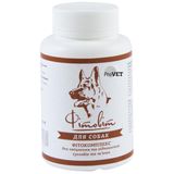 Фитокомплекс для собак ProVET «Фитовит» 100 таблеток, 112 г (для суставов)