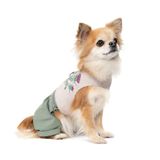 Шлея-костюм для собак Pet Fashion Patrik XXS