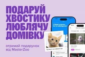 Мережа MasterZoo стала партнером сервісу адопції у Київ Цифровий