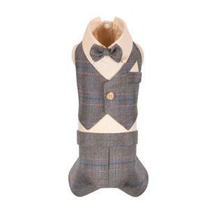 Костюм для собак Pet Fashion Happy XS - masterzoo.ua