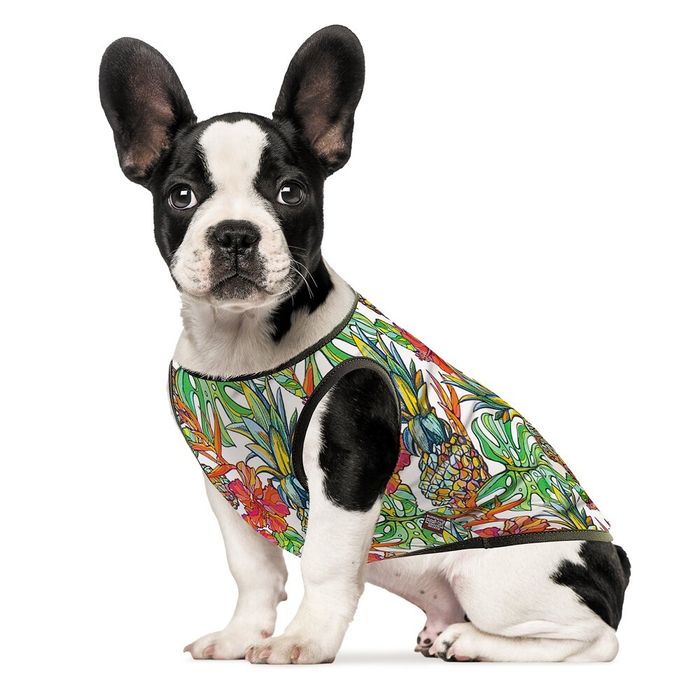 Борцівка для собак Pet Fashion «Ріо» XXS - masterzoo.ua