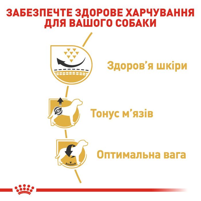 Сухой корм для взрослых собак породы мопс Royal Canin Pug Adult 3 кг - домашняя птица - masterzoo.ua