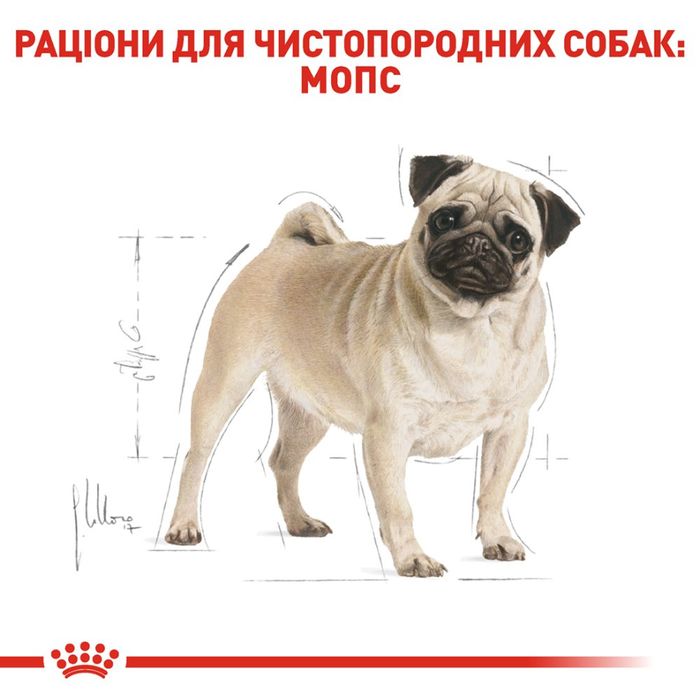 Сухой корм для взрослых собак породы мопс Royal Canin Pug Adult 3 кг - домашняя птица - masterzoo.ua