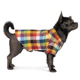 Сорочка для собак Pet Fashion «Стітч» XXS
