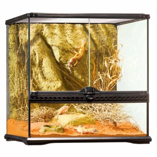 Террариум Exo Terra стеклянный «Natural Terrarium» 45 x 45 x 45 см - masterzoo.ua