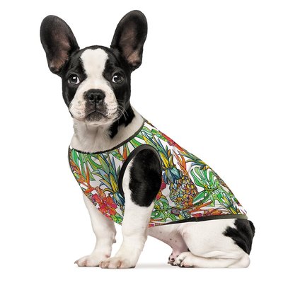 Борцівка для собак Pet Fashion «Ріо» XS - masterzoo.ua