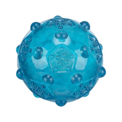 Игрушка для собак Trixie Мяч игольчатый с пищалкой d=8 см (термопластичная резина, голубой) - masterzoo.ua