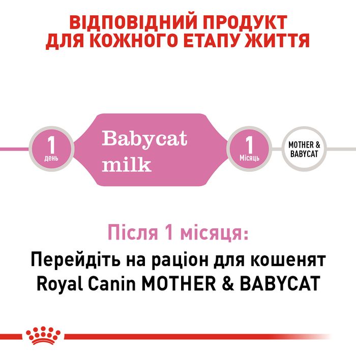 Заменитель молока для котят Royal Canin Babycat Milk 300 г - masterzoo.ua