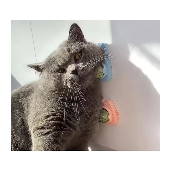 Игрушка для кошек Pet Fun Шарик-лизун Мордочка - оранжевый - masterzoo.ua