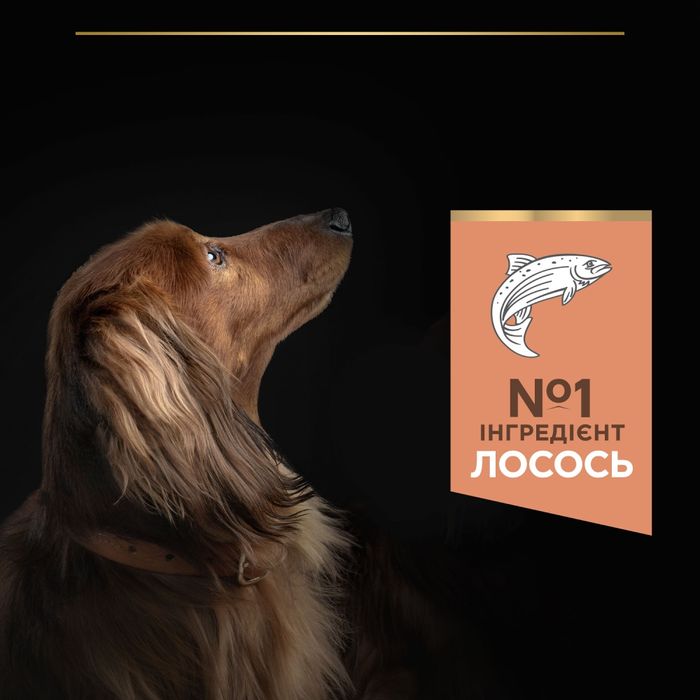 Сухой корм для собак Purina Pro Plan Small & Mini Sensitive 700 г - лосось - masterzoo.ua