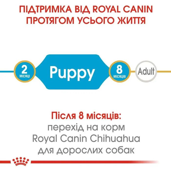 Набор корма для щенков Royal Canin Chihuahua Puppy 1,5 кг + 4 pouch - домашняя птица - masterzoo.ua